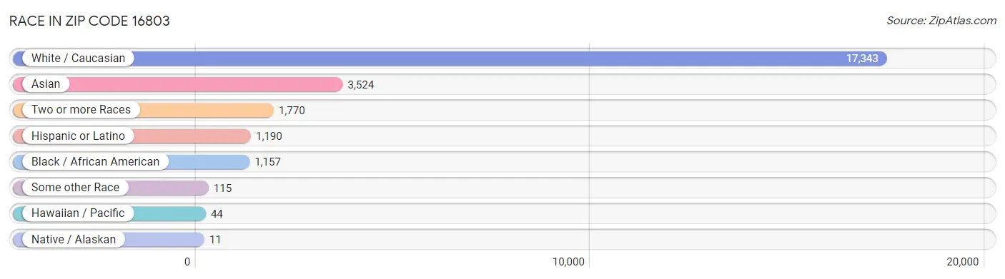 Race in Zip Code 16803