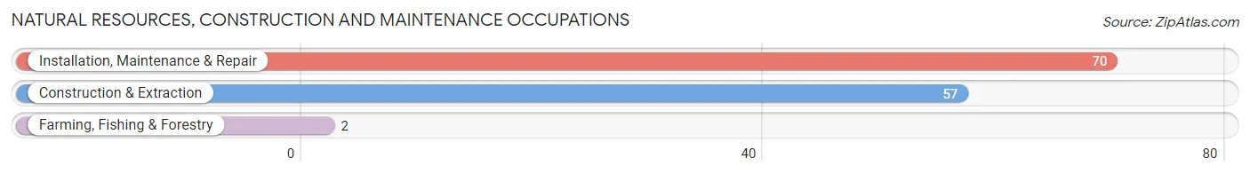 Natural Resources, Construction and Maintenance Occupations in Zip Code 16844