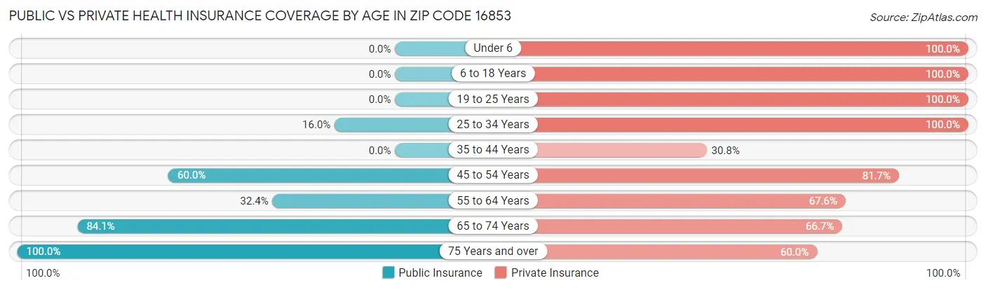 Public vs Private Health Insurance Coverage by Age in Zip Code 16853