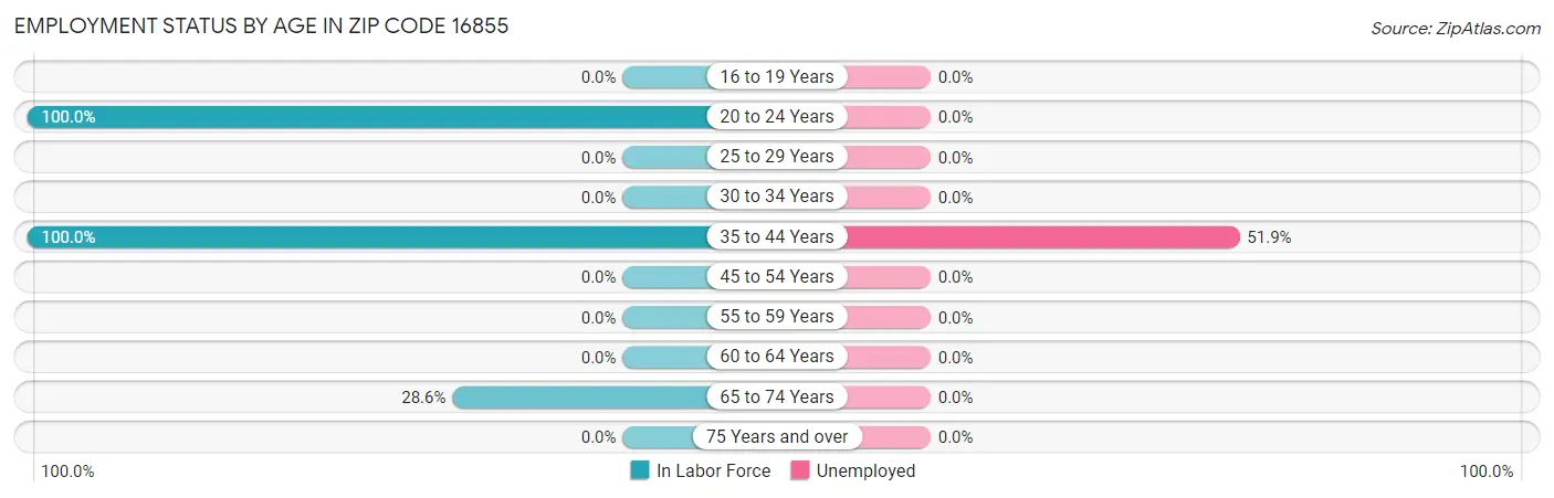 Employment Status by Age in Zip Code 16855