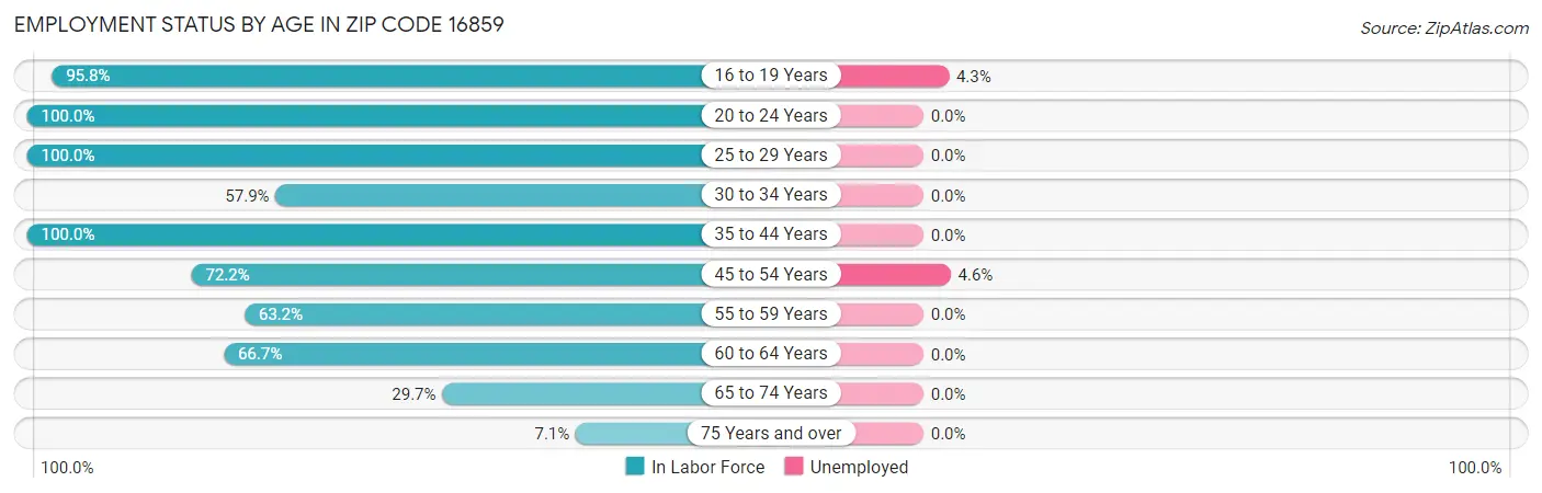 Employment Status by Age in Zip Code 16859