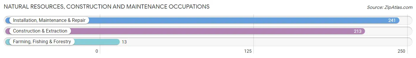 Natural Resources, Construction and Maintenance Occupations in Zip Code 16866