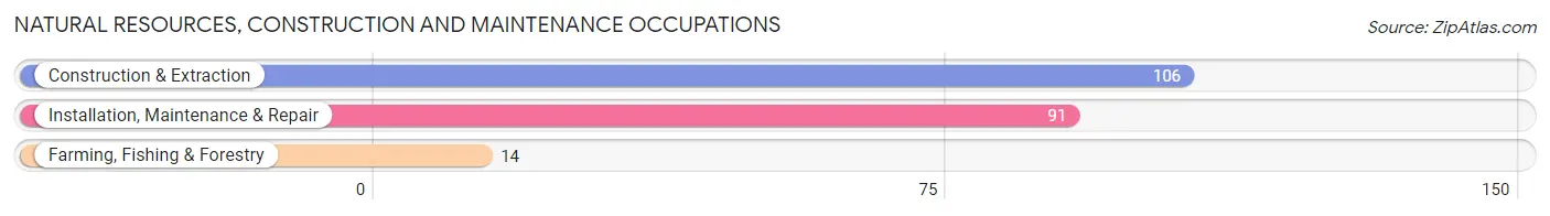 Natural Resources, Construction and Maintenance Occupations in Zip Code 16875