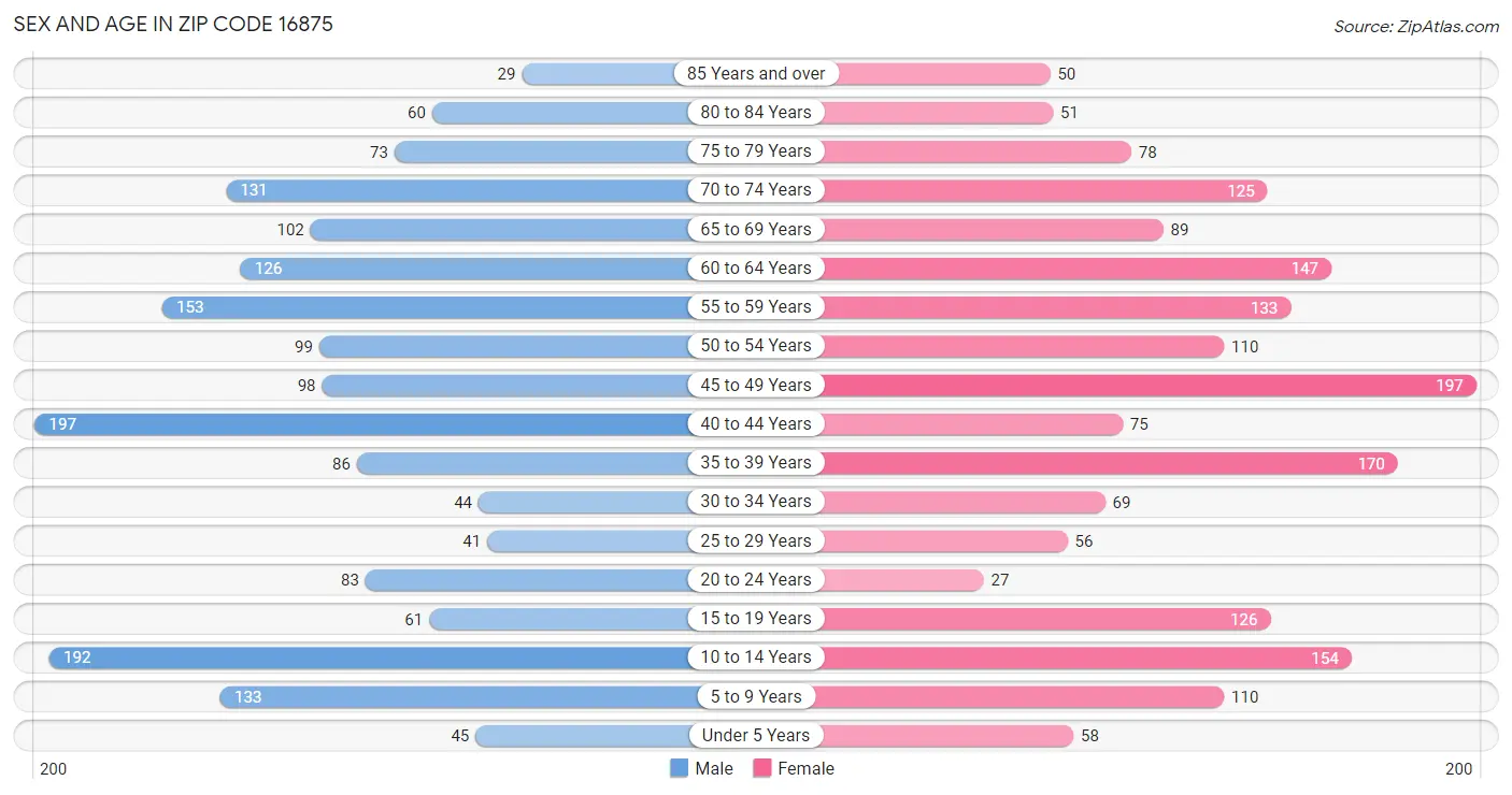 Sex and Age in Zip Code 16875