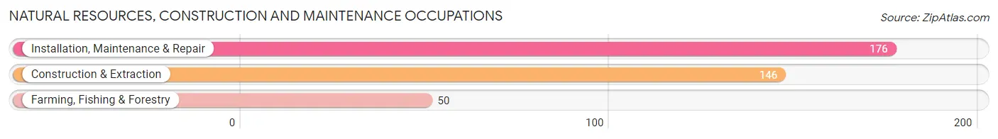 Natural Resources, Construction and Maintenance Occupations in Zip Code 16901