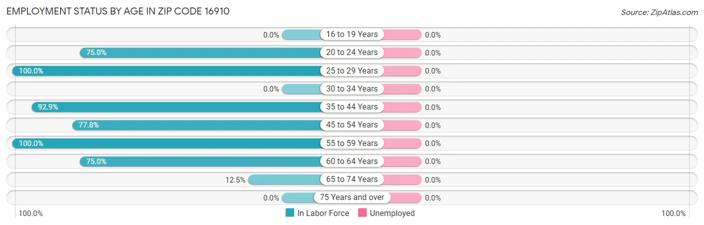 Employment Status by Age in Zip Code 16910