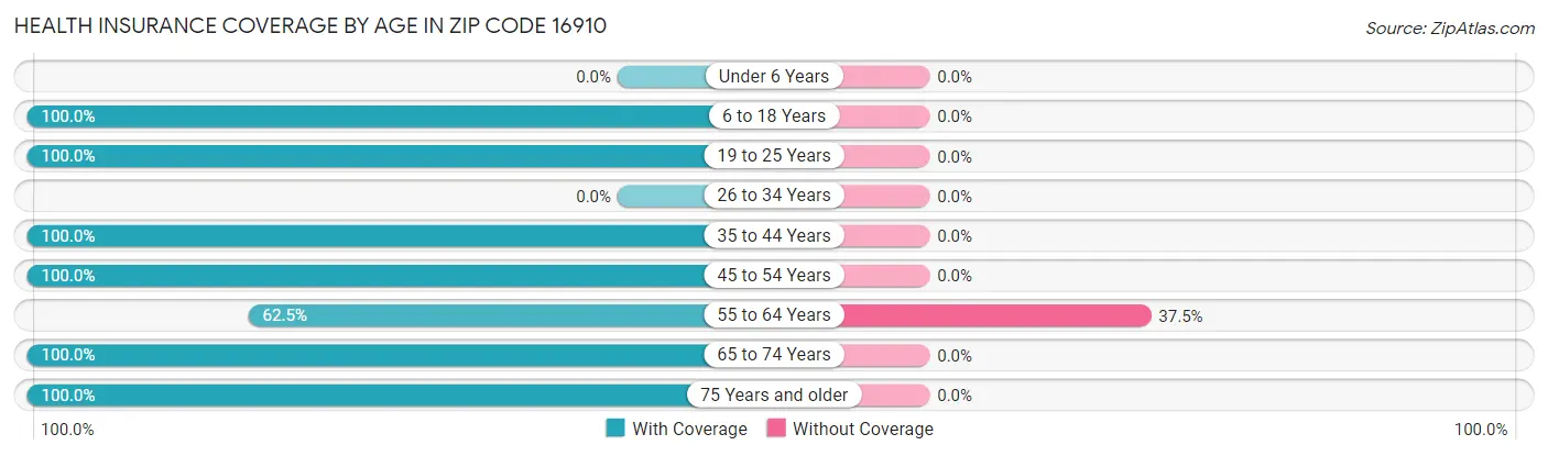 Health Insurance Coverage by Age in Zip Code 16910