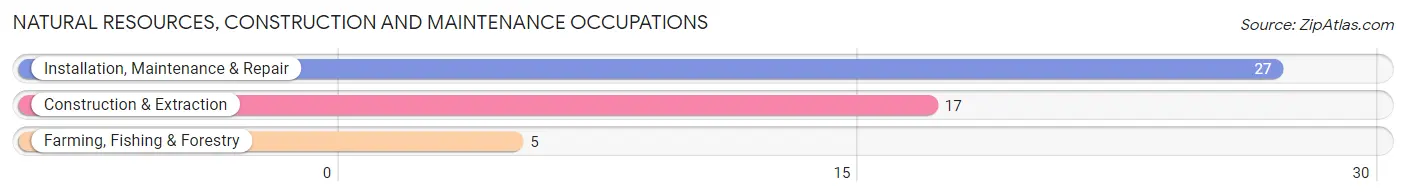 Natural Resources, Construction and Maintenance Occupations in Zip Code 16923