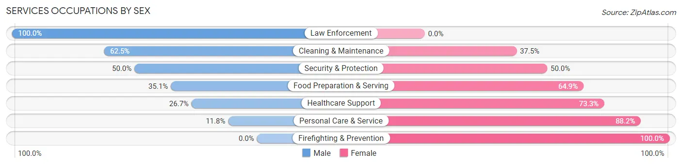 Services Occupations by Sex in Zip Code 16946