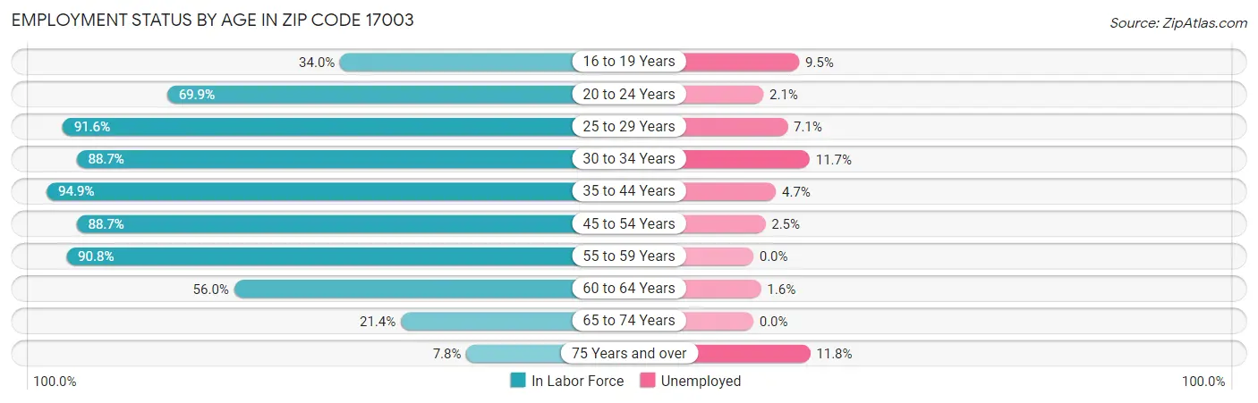 Employment Status by Age in Zip Code 17003