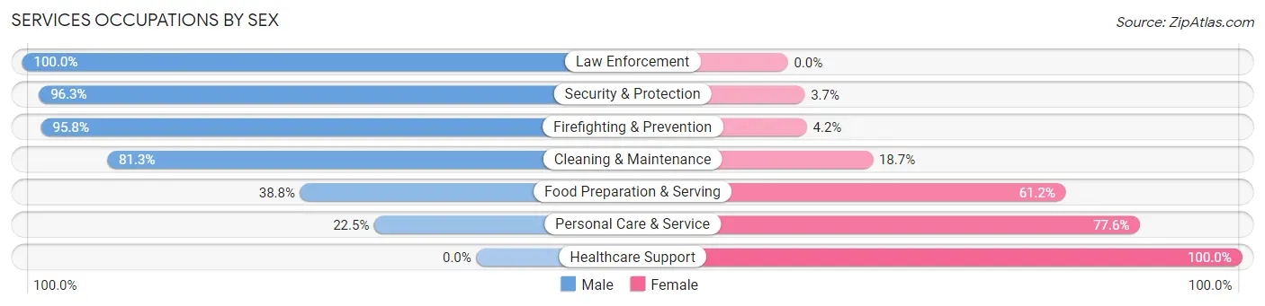 Services Occupations by Sex in Zip Code 17020