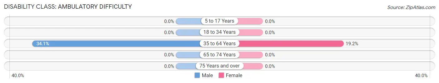 Disability in Zip Code 17029: <span>Ambulatory Difficulty</span>