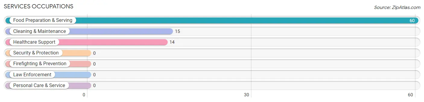 Services Occupations in Zip Code 17029