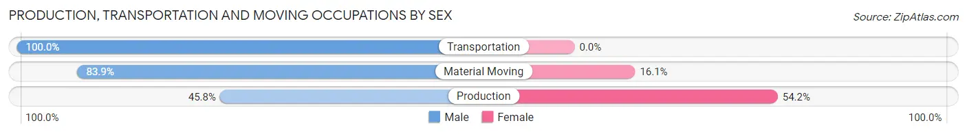 Production, Transportation and Moving Occupations by Sex in Zip Code 17037