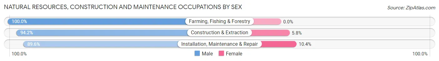 Natural Resources, Construction and Maintenance Occupations by Sex in Zip Code 17050