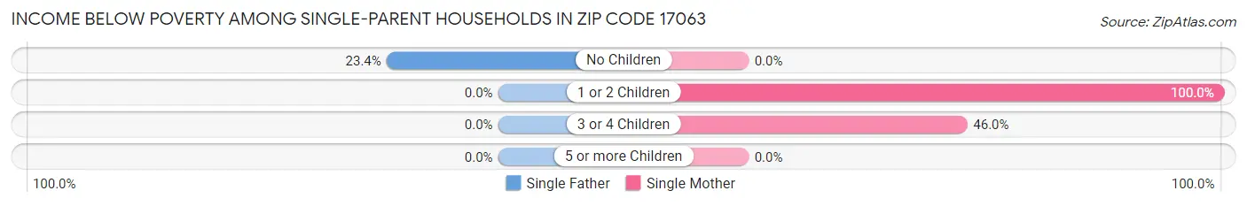 Income Below Poverty Among Single-Parent Households in Zip Code 17063