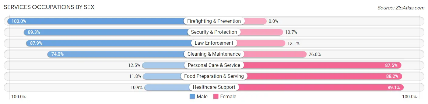 Services Occupations by Sex in Zip Code 17066