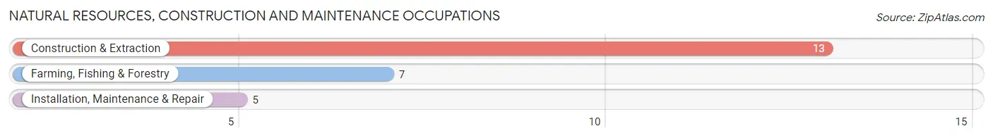 Natural Resources, Construction and Maintenance Occupations in Zip Code 17071