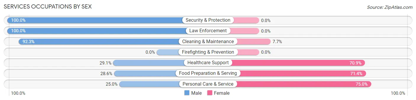 Services Occupations by Sex in Zip Code 17073