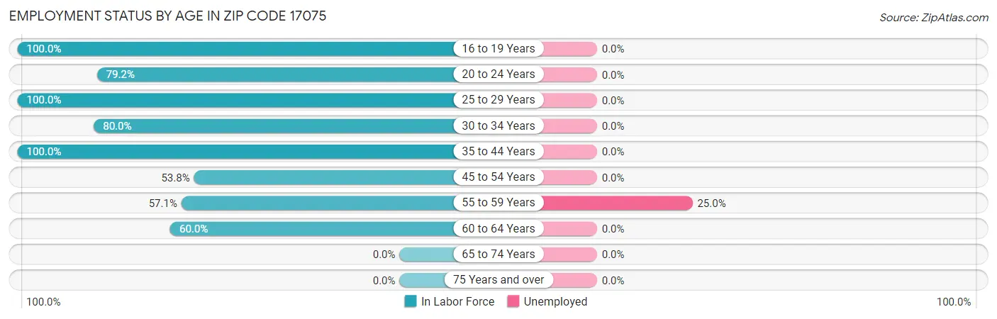 Employment Status by Age in Zip Code 17075