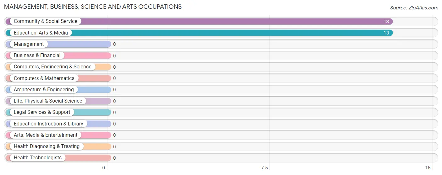 Management, Business, Science and Arts Occupations in Zip Code 17081