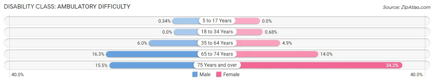 Disability in Zip Code 17110: <span>Ambulatory Difficulty</span>