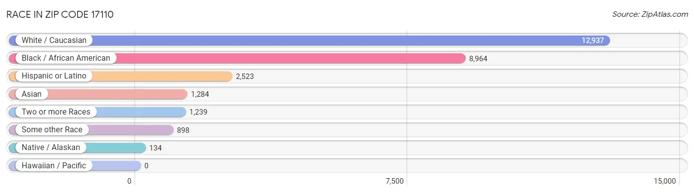 Race in Zip Code 17110