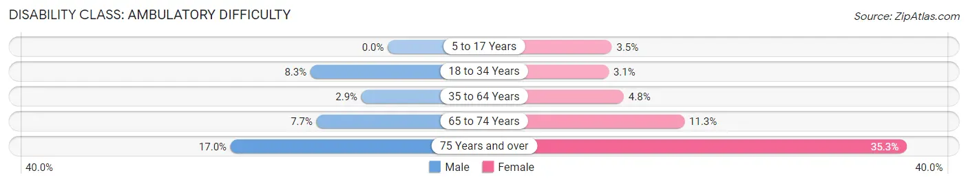 Disability in Zip Code 17202: <span>Ambulatory Difficulty</span>