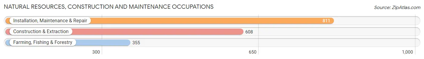 Natural Resources, Construction and Maintenance Occupations in Zip Code 17202