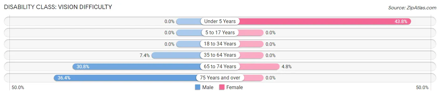 Disability in Zip Code 17211: <span>Vision Difficulty</span>