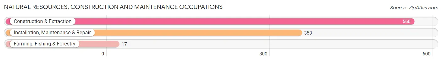 Natural Resources, Construction and Maintenance Occupations in Zip Code 17225