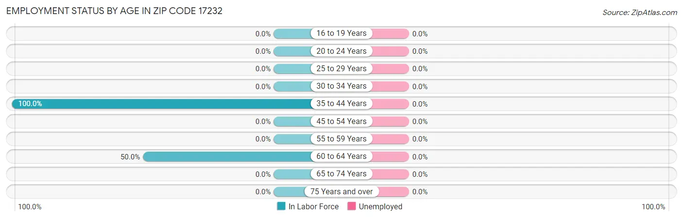Employment Status by Age in Zip Code 17232