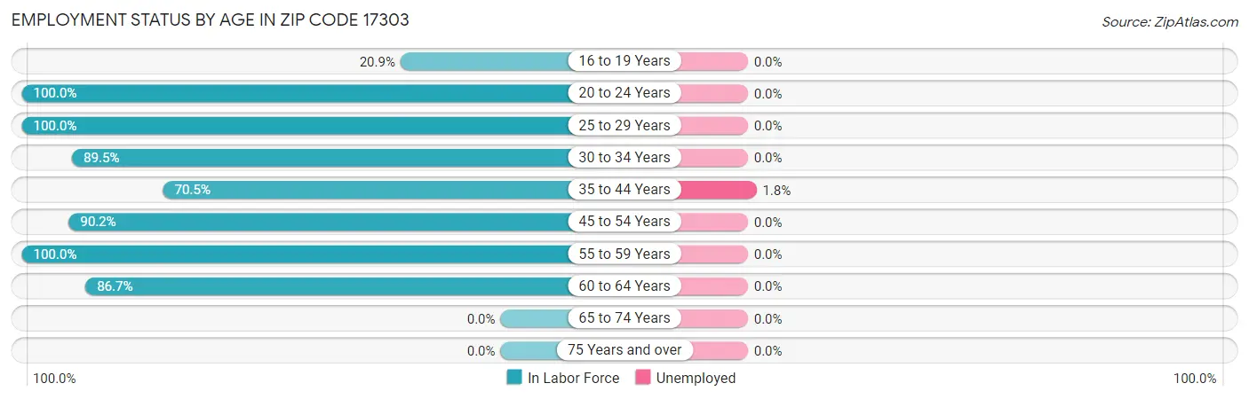 Employment Status by Age in Zip Code 17303