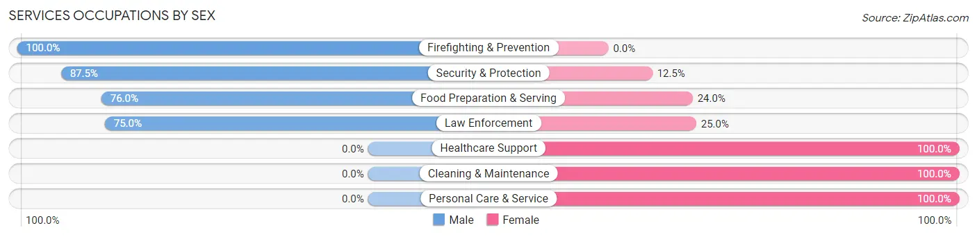 Services Occupations by Sex in Zip Code 17303