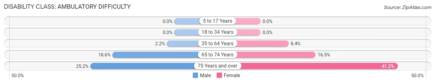 Disability in Zip Code 17315: <span>Ambulatory Difficulty</span>