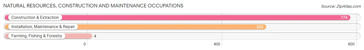 Natural Resources, Construction and Maintenance Occupations in Zip Code 17315