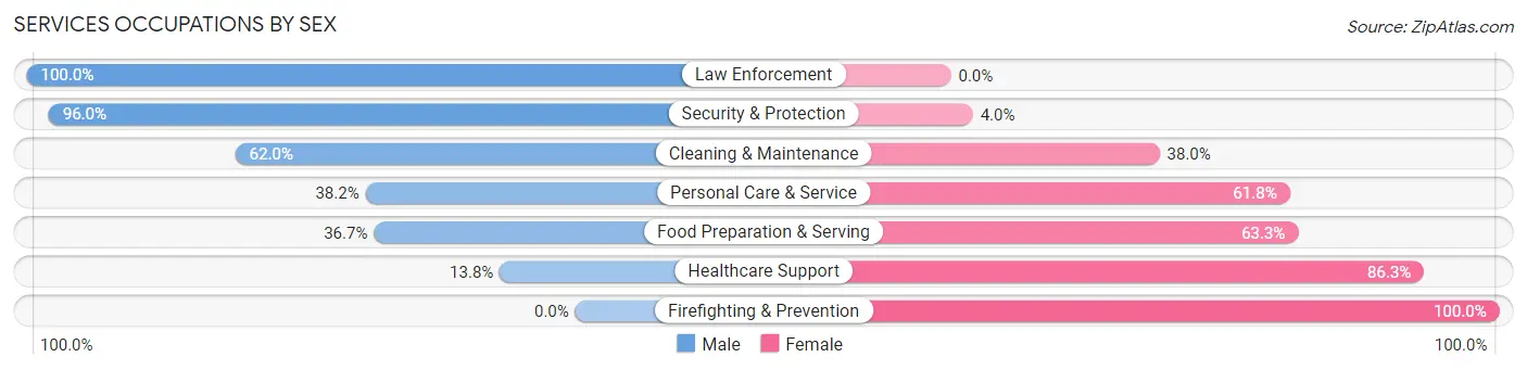 Services Occupations by Sex in Zip Code 17360