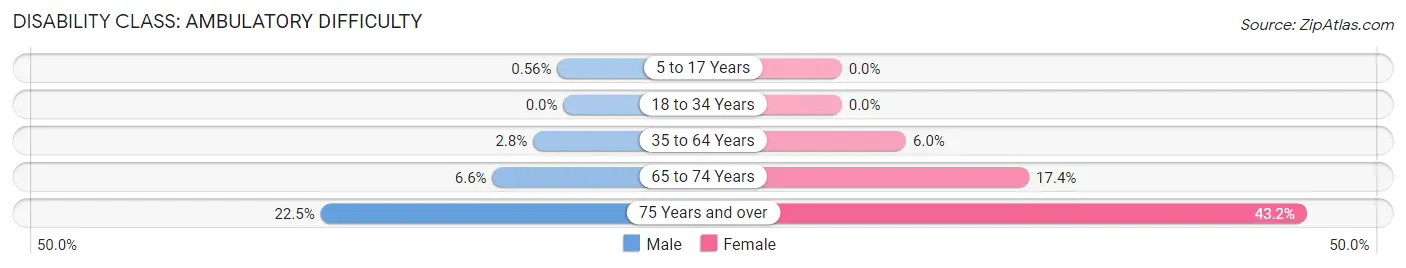 Disability in Zip Code 17365: <span>Ambulatory Difficulty</span>