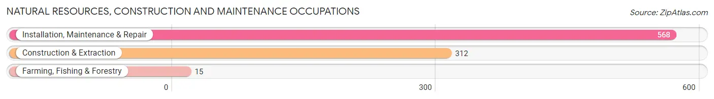 Natural Resources, Construction and Maintenance Occupations in Zip Code 17402