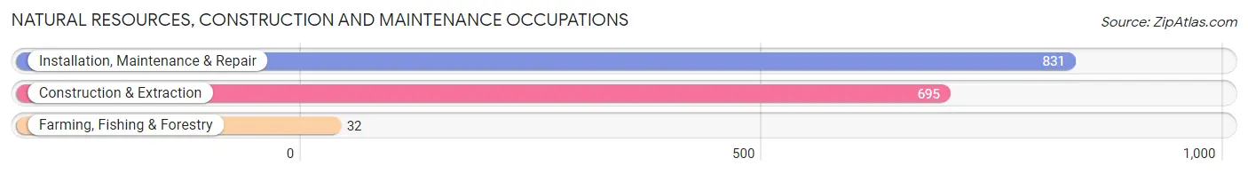 Natural Resources, Construction and Maintenance Occupations in Zip Code 17404