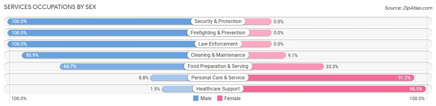 Services Occupations by Sex in Zip Code 17407