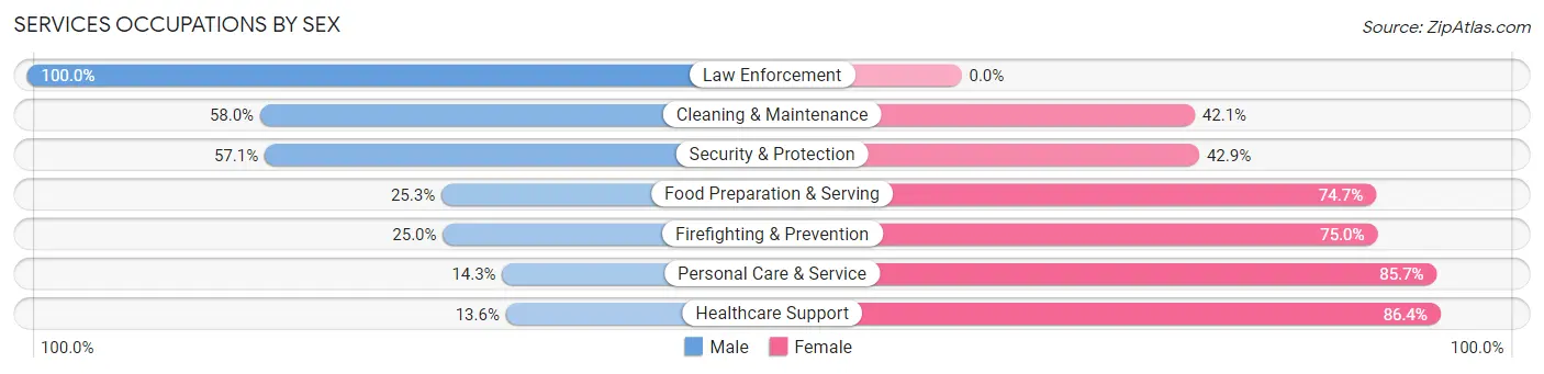 Services Occupations by Sex in Zip Code 17509