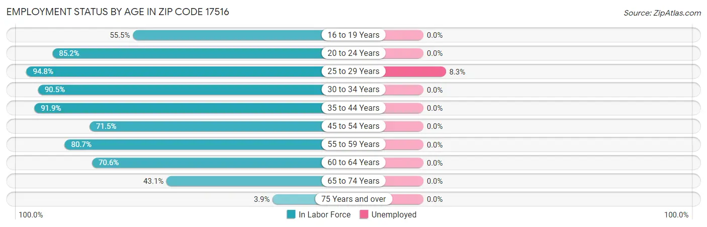 Employment Status by Age in Zip Code 17516