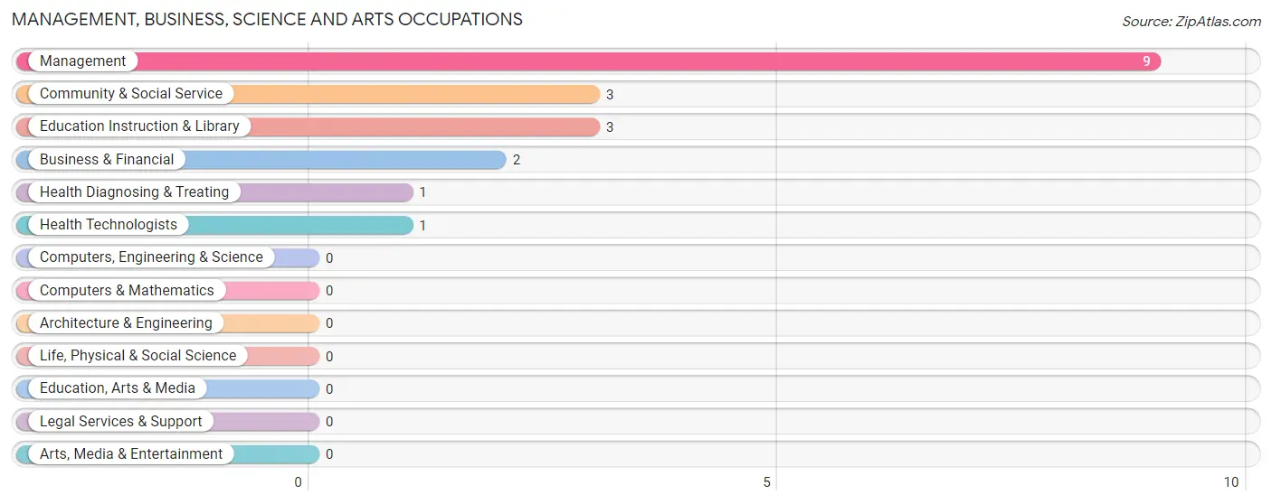 Management, Business, Science and Arts Occupations in Zip Code 17729