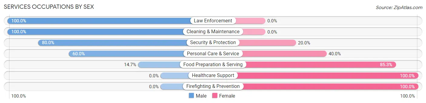 Services Occupations by Sex in Zip Code 17758