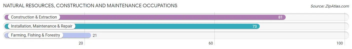 Natural Resources, Construction and Maintenance Occupations in Zip Code 17772