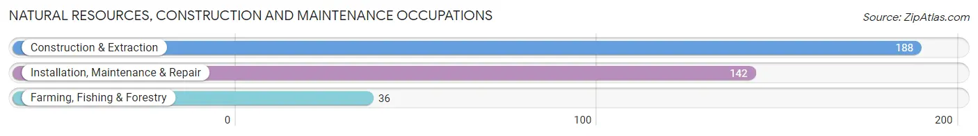 Natural Resources, Construction and Maintenance Occupations in Zip Code 17837