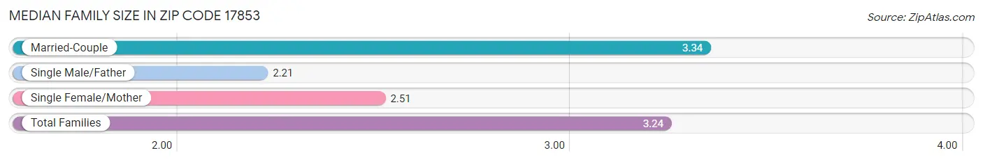 Median Family Size in Zip Code 17853