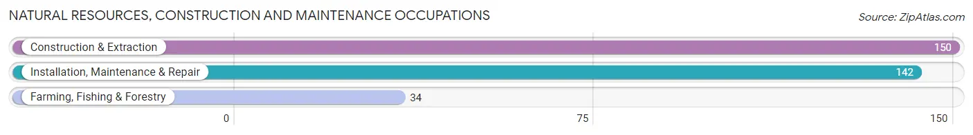 Natural Resources, Construction and Maintenance Occupations in Zip Code 17853