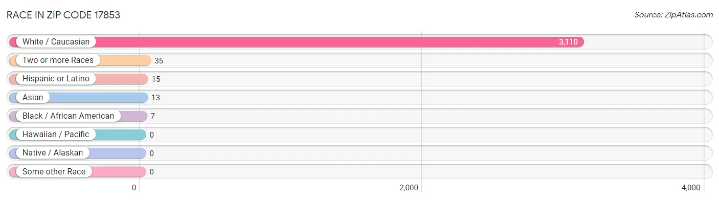 Race in Zip Code 17853